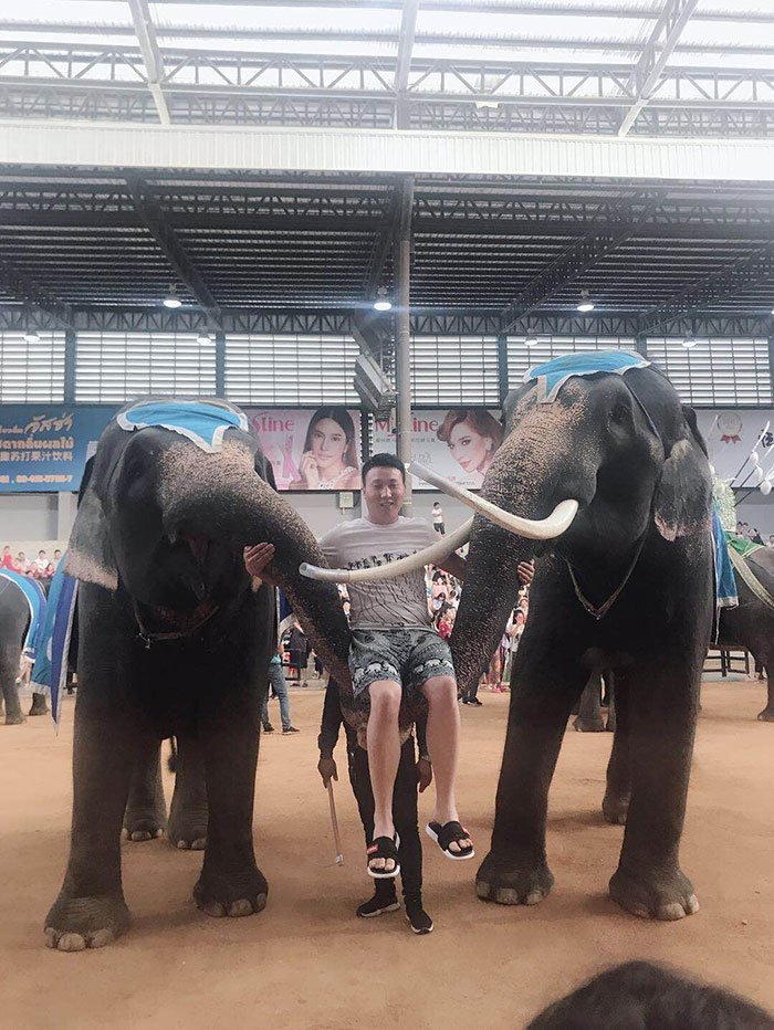 2019ʏ������ʿ��Ӣ̩��֮��