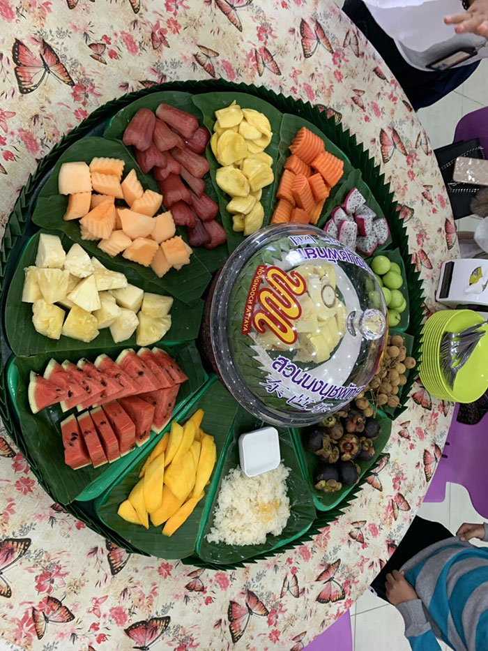 2019ʏ������ʿ��Ӣ̩��֮��