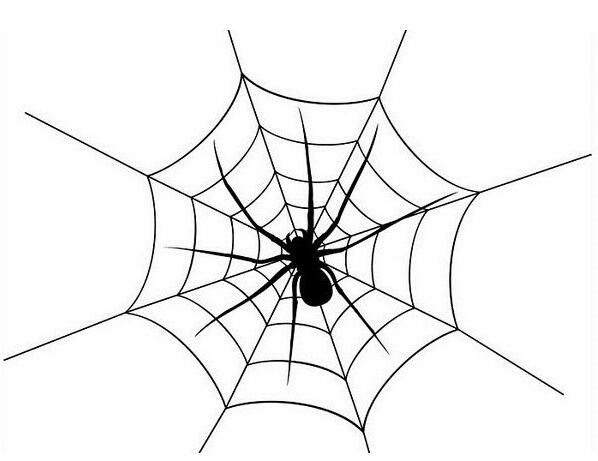 ��������֩�����x����ԭ����ȷ���