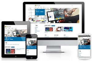 �֙C(j��)΢�žW(w��ng)վ���O(sh��)